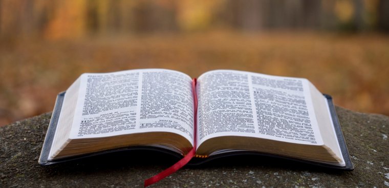 Open Bible