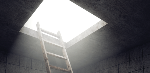 ladder leading to safety