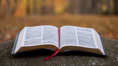 Open Bible