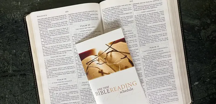 Bible reading Schedule